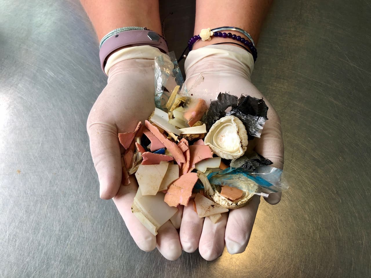 De acuerdo con el
<a href="https://www.gumbolimbo.org/" target="_blank">Gumbo Limbo Nature Centre</a>, un centro de visitas y museo operado por la ciudad de Boca Ratón y que también se encarga de la conservación y rehabilitación de animales marinos, esta tortuga seguramente buscaba alimento en mar abierto, donde las islas flotantes de basura se han vuelto la norma.
<br>