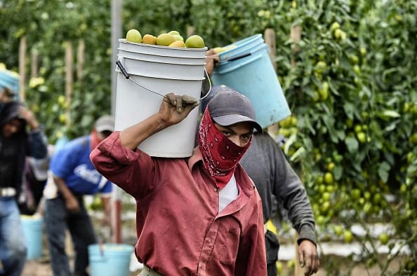 <b>California Rural Legal Assistance Foundation (CRLAF) </b>ofrecerá ayuda en la zona del Valle Central: Mariposa, Sacramento, San Joaquin, Stanislaus, Sutter, Tuolumne, Yolo, Yuba. (877) 557-0521 
<a href="http://www.crlaf.org/drai">www.crlaf.org/drai</a>
