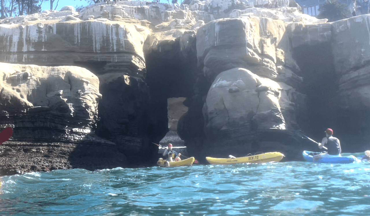 Además del paseo de kayak o canoas, la bahía también es visitada por nadadores y amantes del buceo que disfrutan de la variedad de especies marinas nativas, que incluyen al pez Garibaldi, de color naranja brillante.