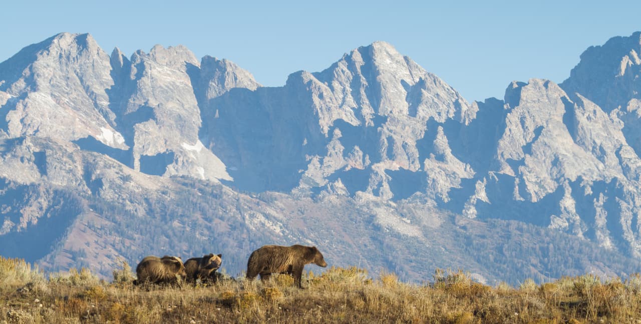 Parque Nacional Grand Teton, Wyoming.