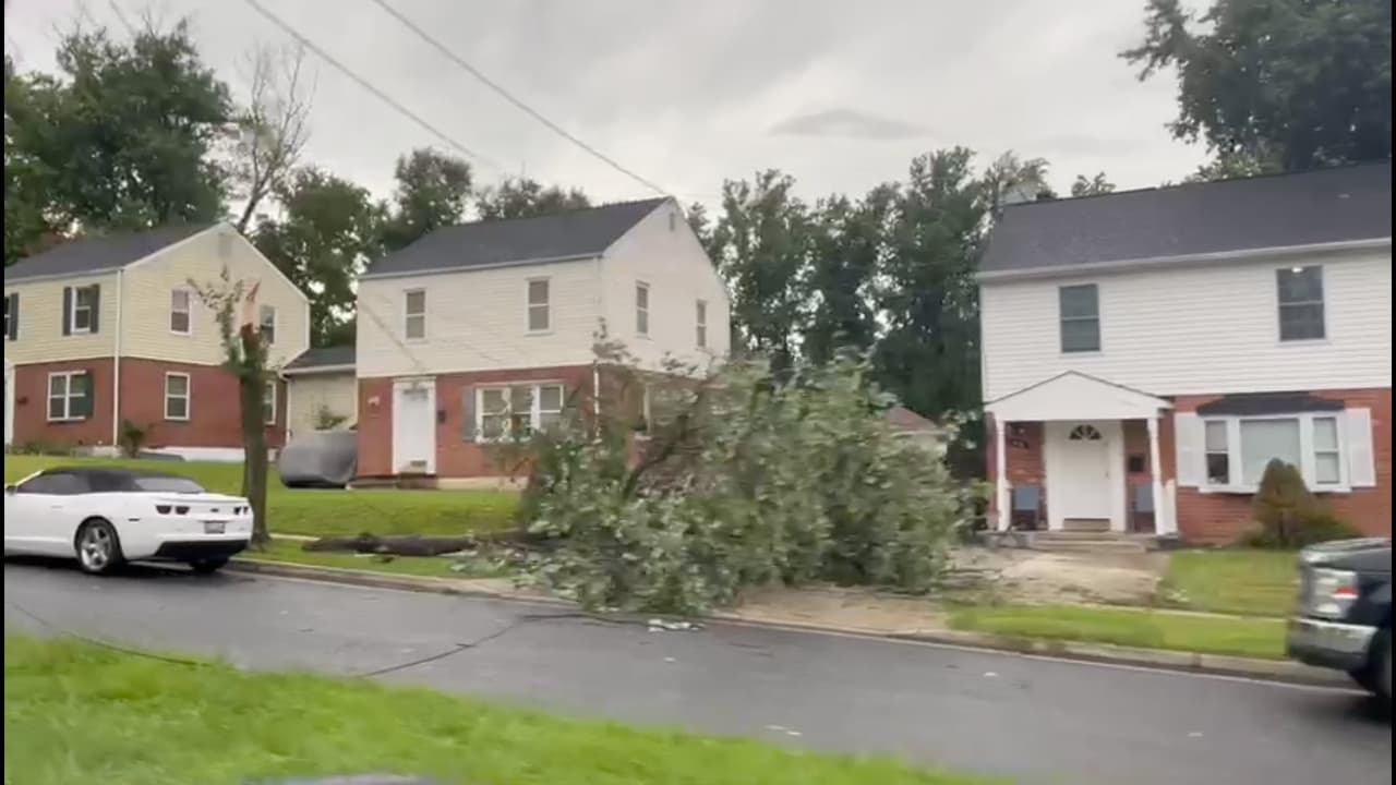 Jennifer Gonzalez captó este árbol caído a la entrada de una cochera en Silver Spring, Maryland.