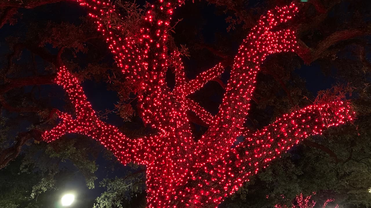 Lo bueno es que a la hora en que ya está oscureciendo no es difícil encontrar dónde estacionarte porque ya muchos alumnos salieron de la escuela.