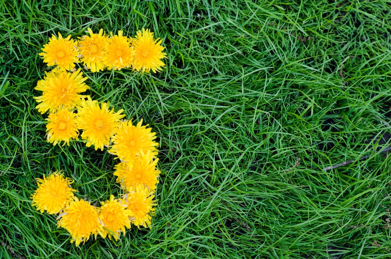 Si eres un 
<b>CINCO</b> estás en la vibración del cuatro, de la solidez, de comprar casa, echar raíces, mudarte a un buen sitio, confirmar un empleo y fortalecer tus vínculos de amistad con gentes positivas que te aman y quieren.