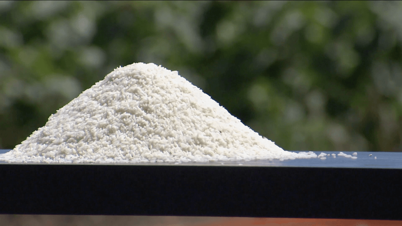 Campos de arroz se quedan sin cultivar en California por la falta de agua