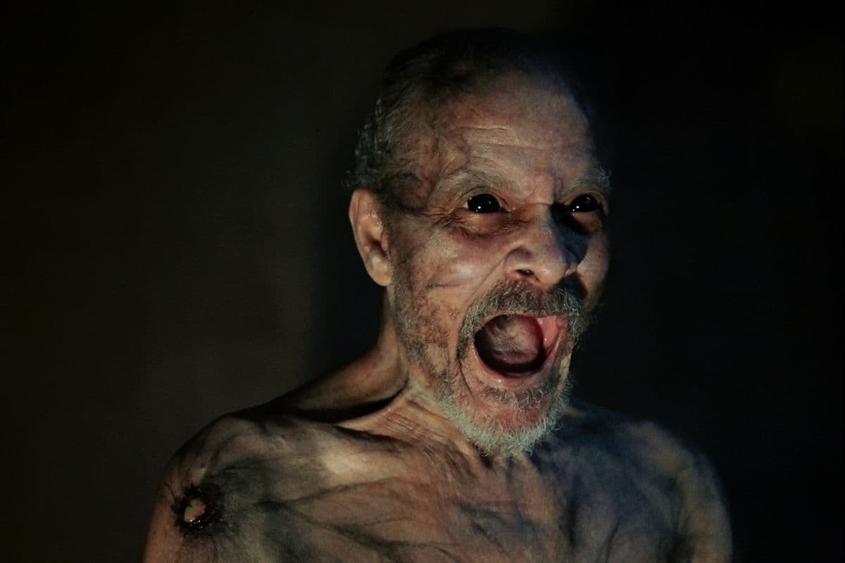 Esta propuesta resulta ser un homenaje a películas como 'El Resplandor' y 'La Noche de los Muertos Vivientes', ambas clásicas del género de terror.