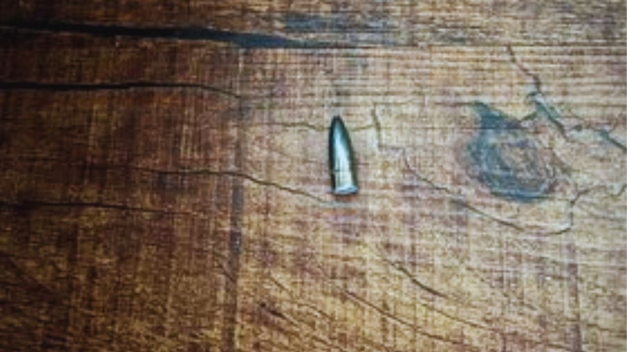 Este incidente pone de relieve
<b>el peligro de disparar al aire durante celebraciones</b>, una práctica desafortunadamente común en muchas ciudades del norte de Texas. A pesar de la prohibición, algunos
<b> continúan ignorando las advertencias, poniendo en riesgo la seguridad de los residentes</b>.