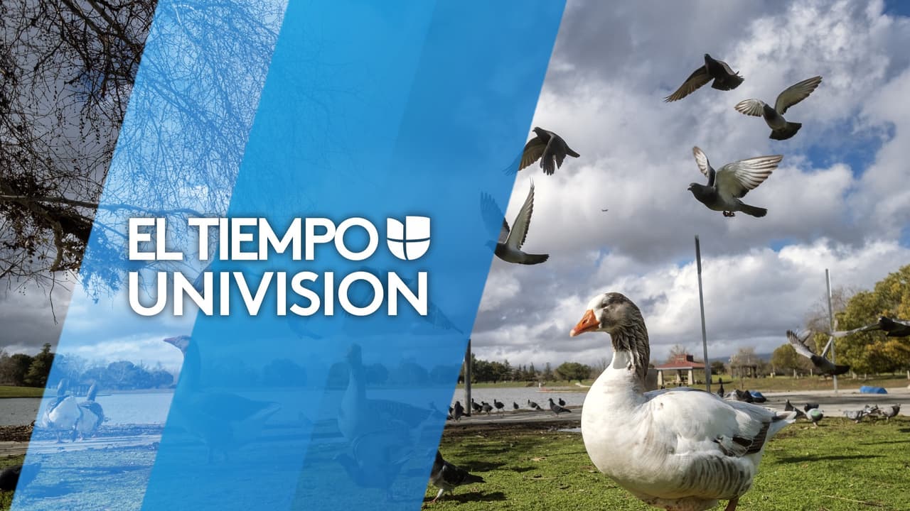 Actualización del tiempo: Primera semana de agosto luce seca y cómoda