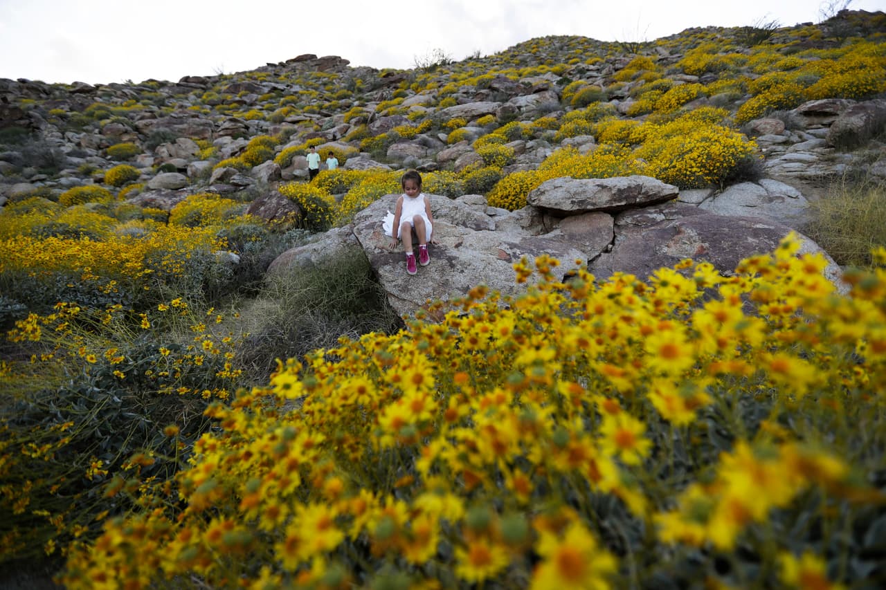 <b>Temecula</b>: 1 hora y 30 minutos manejando
<br>Para los amantes del vino, Temecula es un destino que no deberás dejar de lado. Ya sea que quieras visitar los viñedos, hacer un recorrido histórico o viajar en globo areostático, Temecula es la opción para ti.