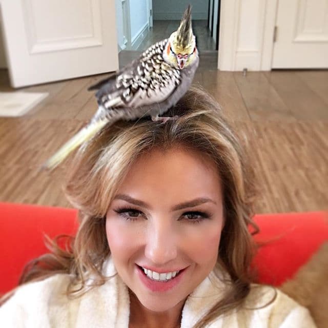 ¡Todos se encariñan con la artista! Hasta su pequeño cotorrito Pikachu, que vive en el cabello de Thalía.