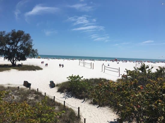 Siesta Beach, en Siesta Key, es según los usuarios la playa más bella no solo de Florida sino del mundo, ocupando el primer lugar de una 
<a href="https://www.tripadvisor.com/TravelersChoice-Beaches-cTop-g191" target="_blank">lista de 25 playas en Estados Unidos, según una compañía de viajes. </a>
<br>