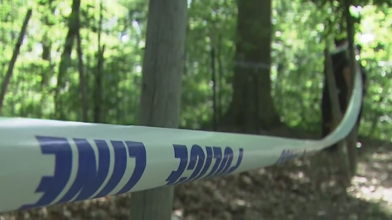 Acusan a tres miembros de la MS-13, ya en prisión, por el asesinato en 2017 de un adolescente de 16 años en Queens 