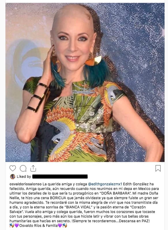 "Te recordaré con la misma alegría de vivir que nos transmitiste día a día, y con la eterna sonrisa de 'Bianca Vidal' y la pasión eterna de 'Corazón Salvaje'", le prometió el actor puertorriqueño Osvaldo Ríos.