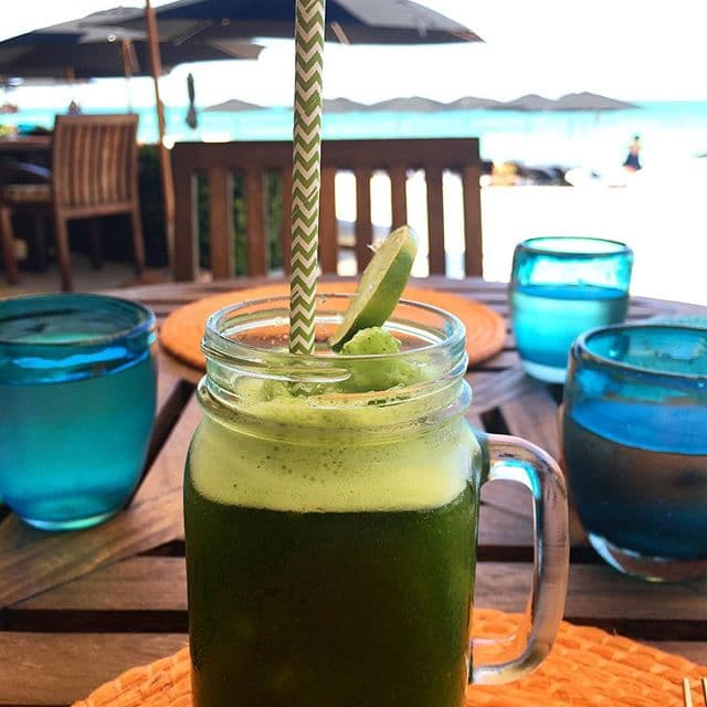 Ha disfrutado de la deliciosa comida.