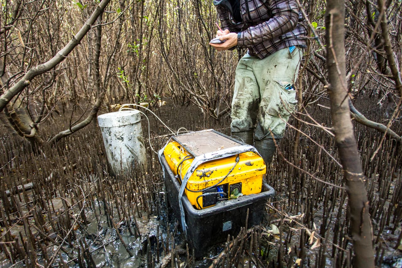 <b>Puesto 16. Científicos de la conservación. </b>
<br>
<br>
<b>Salario promedio: 64,850 dólares al año. </b>
<br>
<b>Promedio de tiempo libre pago: 14 días.</b>
<br>
<br>Los encargados de investigar la calidad de la tierra de los bosques, parques y otras áreas naturales son contratados por gobiernos e instituciones ecológicas en todo el planeta.
<br>