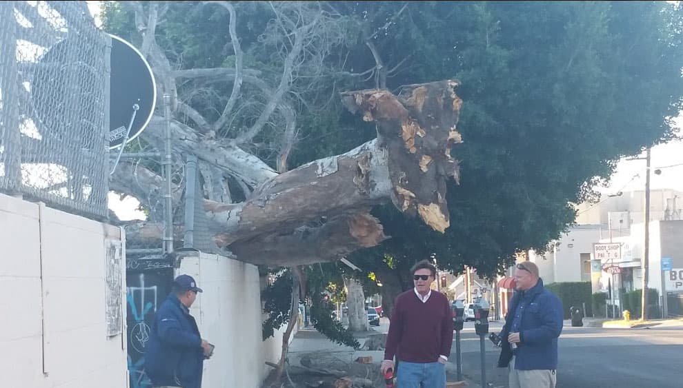 Residentes del sur de California dieron inicio a la semana con la presencia de fuertes vientos que derribaron árboles, causaron estragos y ocasionaron apagones eléctricos.