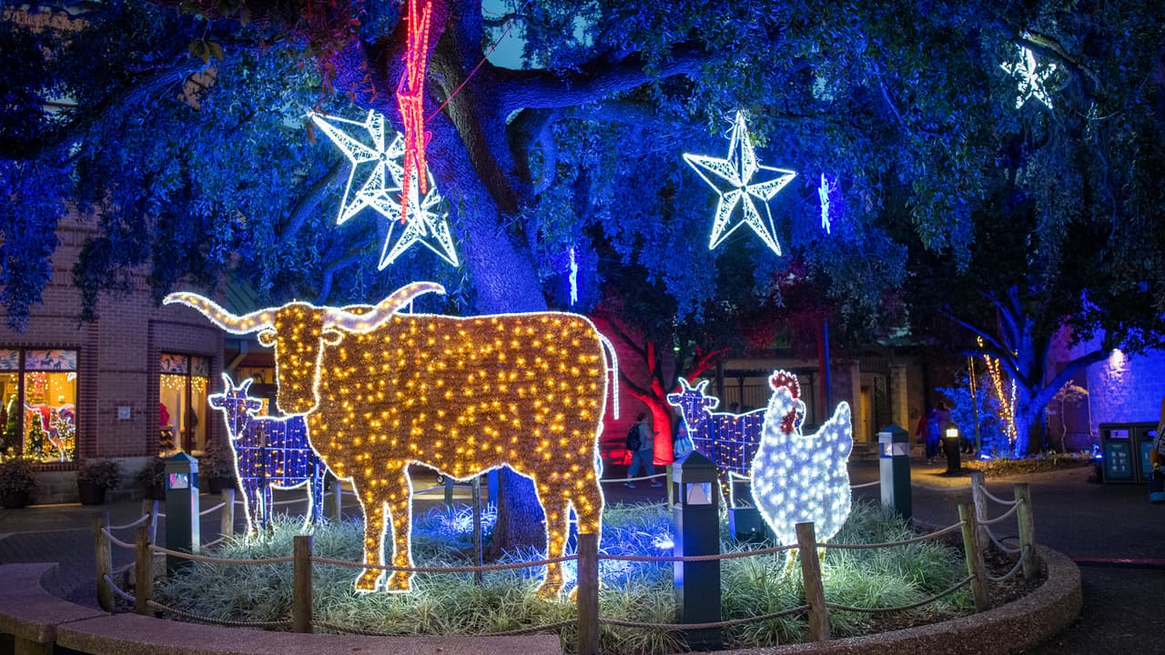 Durante esta visita nocturna, los animales del zoológico duermen su siesta de invierno por lo que si quieren verlos deben hacerlo durante el día.