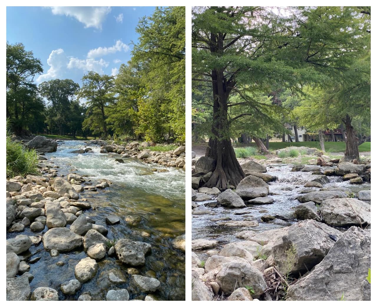 Mira en video cómo luce el área.