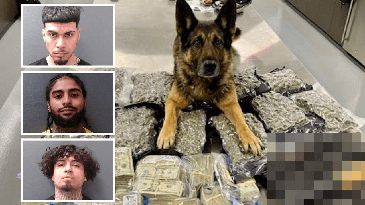 Arrestan a tres jóvenes de Fort Worth en New Braunfels y los acusan de crimen organizado