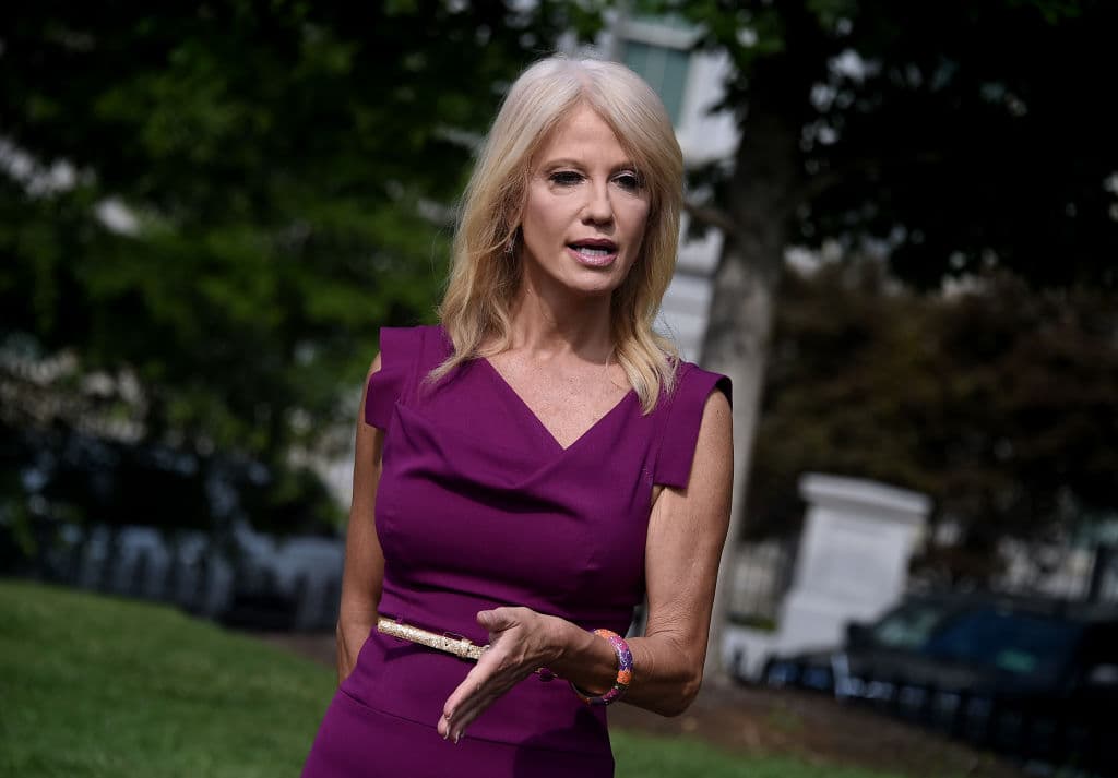 <b>Kellyanne Conway, asesora presidencial:</b> durante una entrevista con Fox News en agosto de 2020 cuestionó la selección de Kamala Harris como candidata a la vicepresidencia y dijo: "Esta es una mujer que está a favor del aborto en el noveno mes, está en contra de la Segunda Enmienda, está en contra de partes de la Primera Enmienda, francamente, aumentará sus impuestos, devolverá nuestras regulaciones, ha sido terrible con la justicia penal".