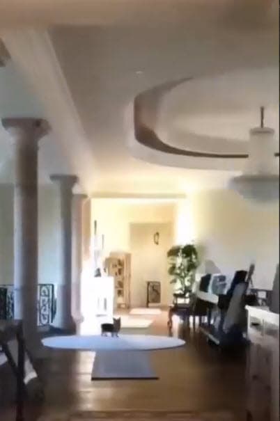 Una fuente confirmó que los perros
<b><a href="https://www.tmz.com/2021/08/21/britney-spears-dogs-digestive-issues-ill-human-food-vet-taken-away-housekeeper/" target="_blank"> le fueron devueltos</a></b> a la cantante el viernes 20. 
<br>