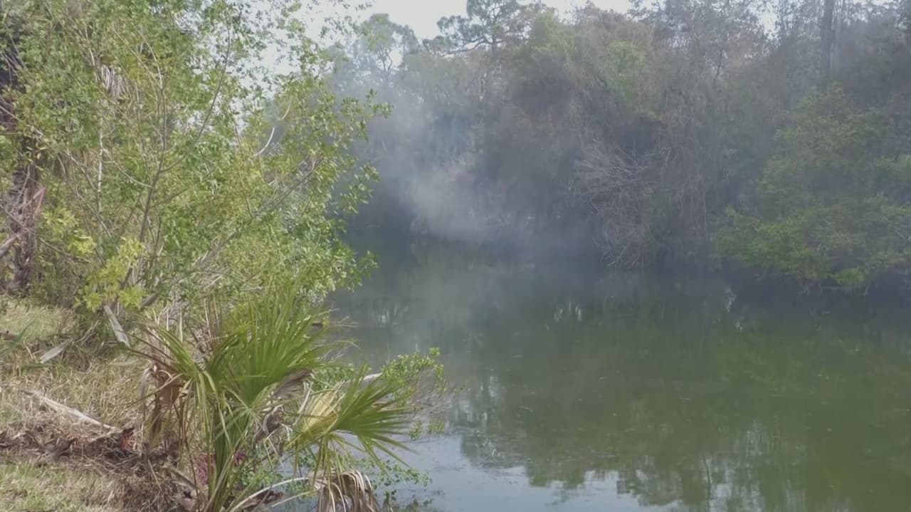 Bomberos combaten incendio forestal en Hernando; evacuaciones afectan comercios