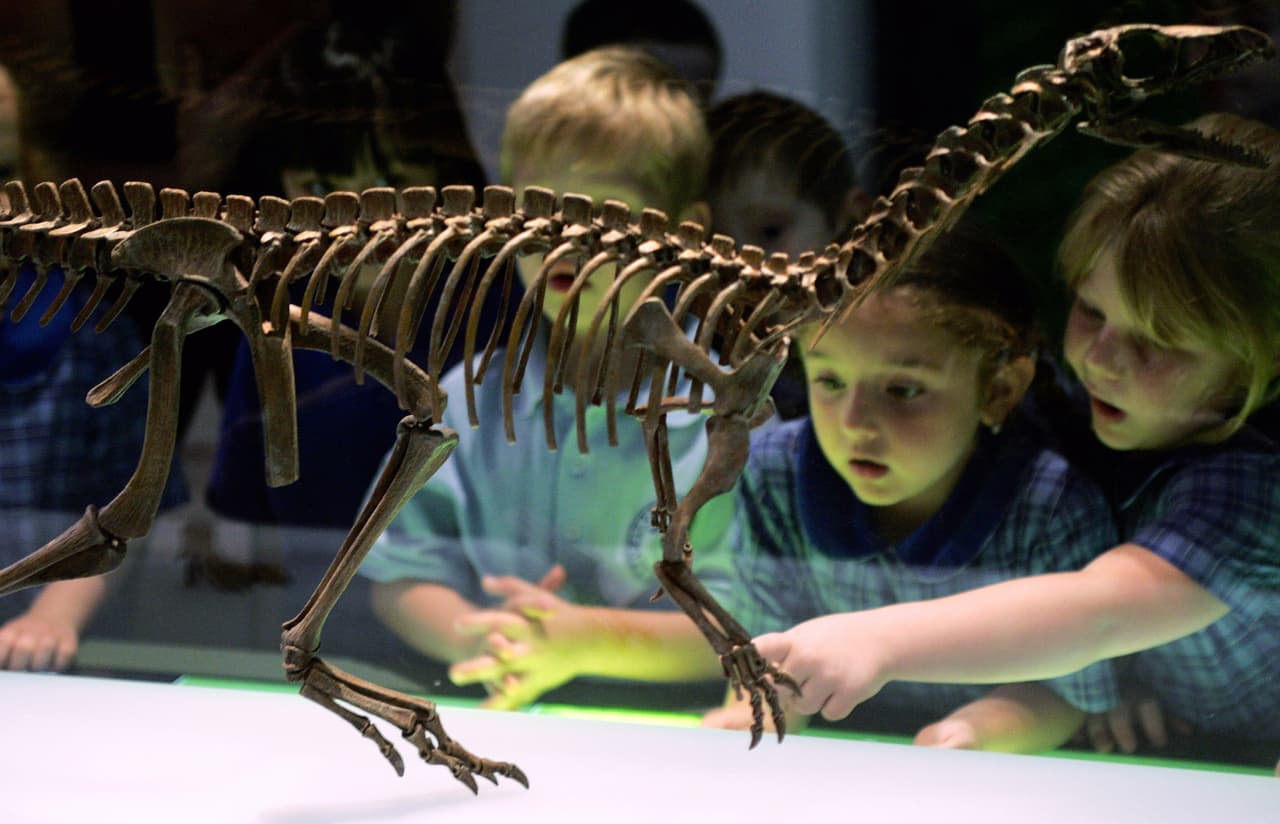 SYDNEY, AUSTRALIA - MARCH 14: A group of young children view a dinosaur skeleton during a new exhibition titled Dinosaurs at the Australian Museum on March 14, 2008 in Sydney, Australia. The exhibition features ancient Australian and international skeletons and fossils and will be on display until June 2008. (Photo by Sergio Dionisio/Getty Images)