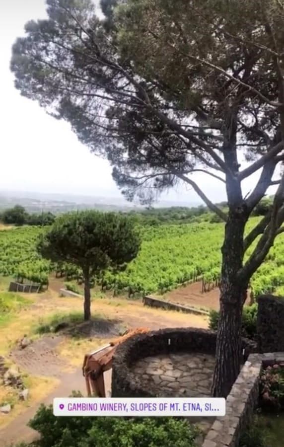 Los novios han paseado juntos por viñedos, playas y plazas de la ciudad italiana, lo que ha sido un agasajo para sus corazones.
<br>