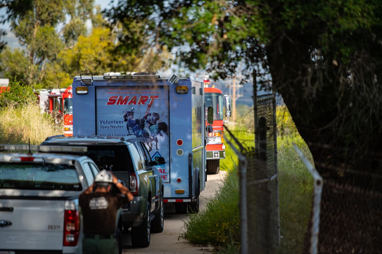 A la escena también se presentó un equipo especializado en rescates de Servicios para Animales. Con su apoyo, se puso en acción una estrategia en la que el dueño de Poncho, que no fue identificado, también fue clave.