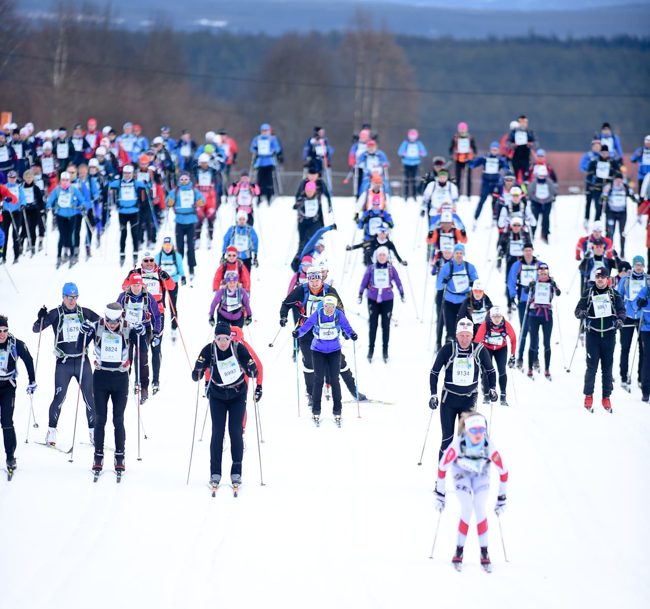 Comenzó la competencia.