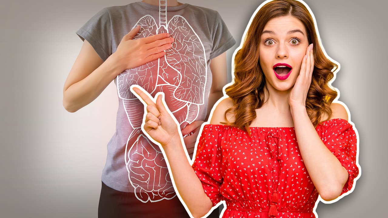 ¿Sabes cuáles son los 7 órganos del cuerpo que no sirven para nada?