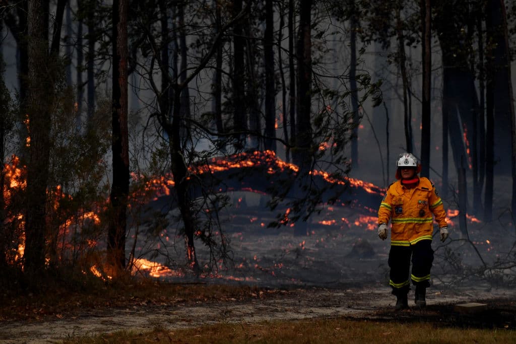 Han sido miles de bomberos voluntarios que han participado en los intentos de apagar los incendios y a pesar de la ayuda sin precedentes, todavÃa se ve lejos el control de los fuegos.