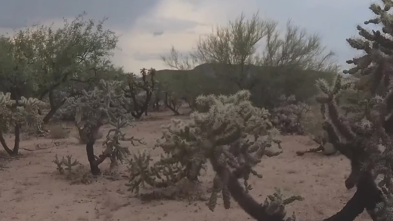 Identifican los restos humanos hallados en una zona rural de Tucson