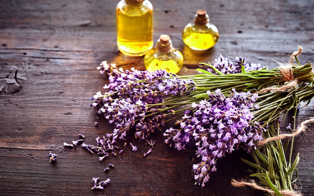 <b>Lavanda. </b>Otro aroma por excelencia es el de la lavanda, el cual no solo le dará un olor exquisito a tu hogar, sino que también transmitirá la tranquilidad de la temporada entre tus invitados, al ser un gran relajante.