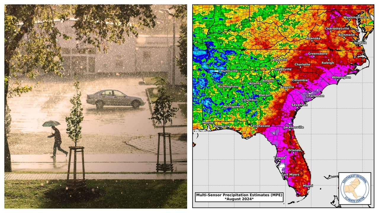Lluvias sin precedentes en Tampa Bay: verano de 2024 establece nuevos récords