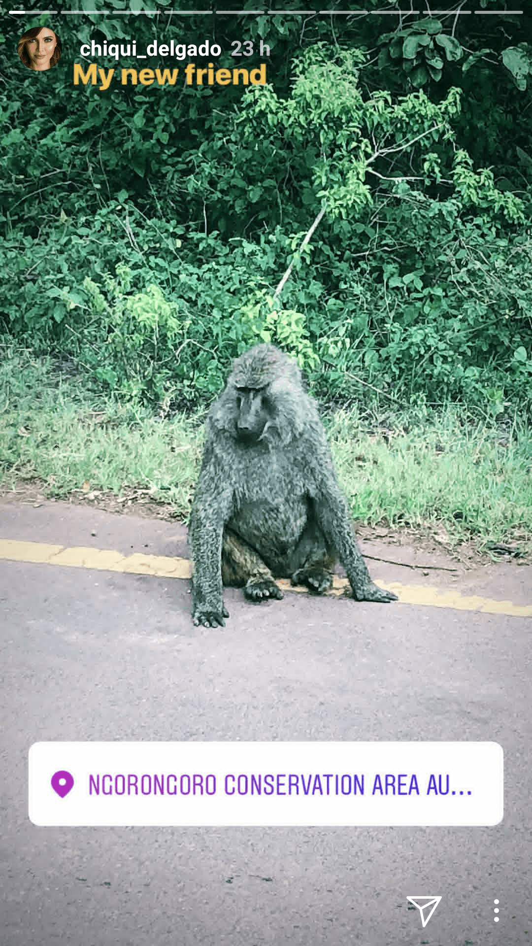 A través de Instagram Moments, la conductora ha compartido detalles de su visita en África.