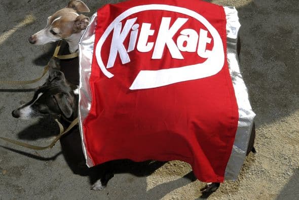 Un participante llevó a sus mascota disfrazada como un chocolate Kit Kat, aunque el pero no lucía muy cómodo con el atuendo.