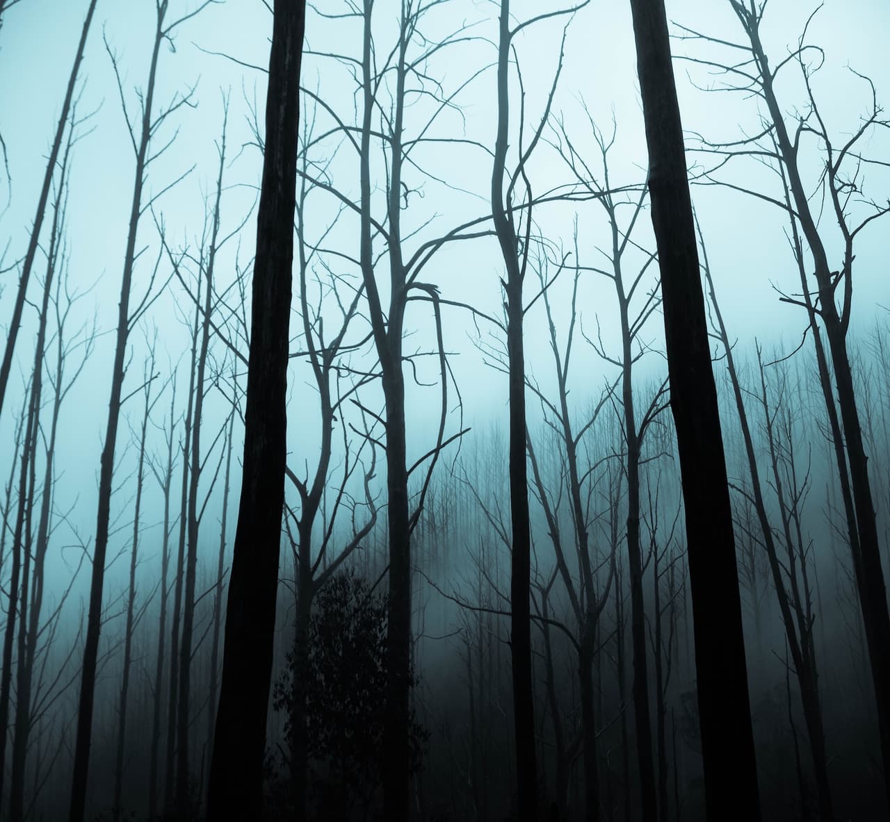 USDish.com también enviará un Fitbit para ayudar a rastrear tu ritmo cardíaco durante algunas de las escenas más intensas y una tarjeta de regalo de cine para agregar una película número 14 a la lista.