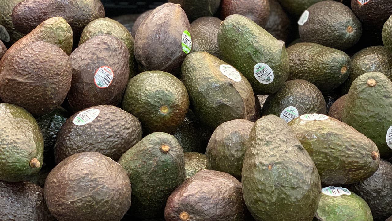 El abuso en el precio del aguacate se puede reportar llamando al Departamento de Justicia al teléfono 1-888-647-3258.