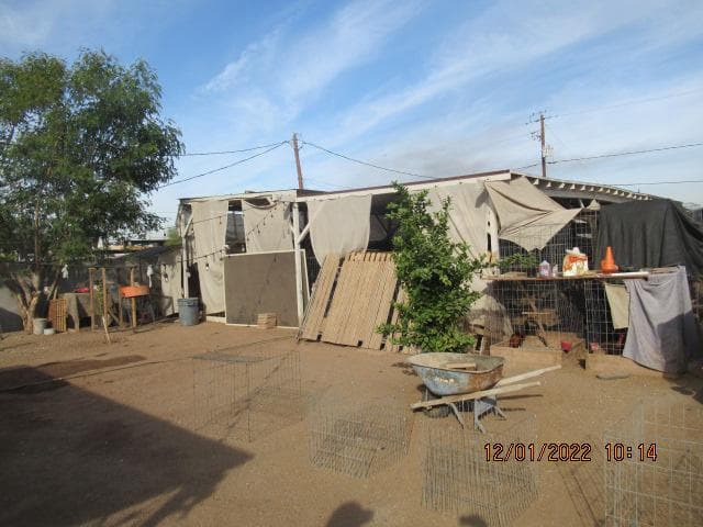 Los oficiales localizaron en el patio trasero decenas de gallos y otros indicativos de que la propiedad también pudo ser usada como una instalación para peleas esos animales.