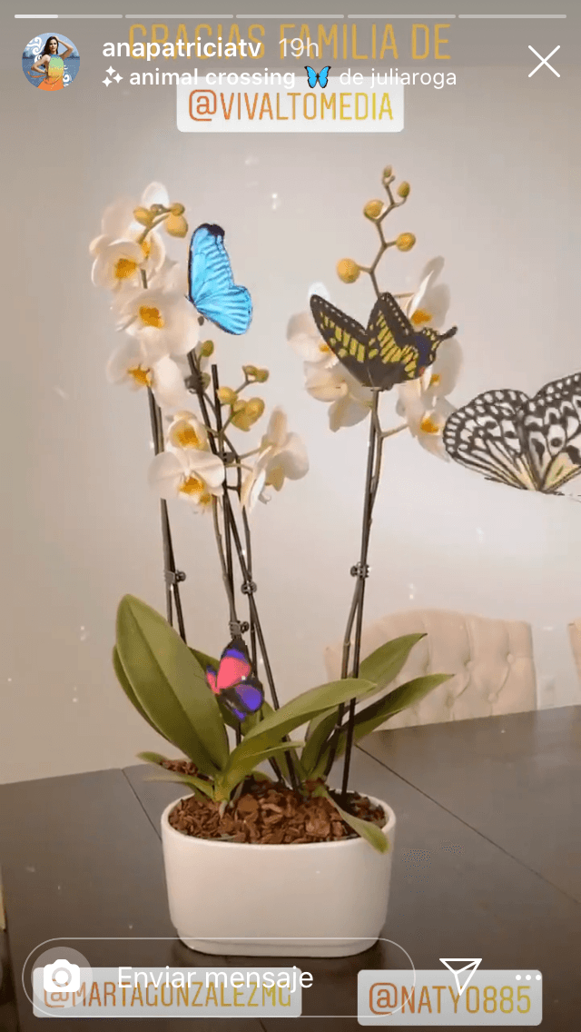 Esta semana Ana Patricia ha recibido varios arreglos florales y regalos para tratar de confortar su estado de ánimo. 
<br>