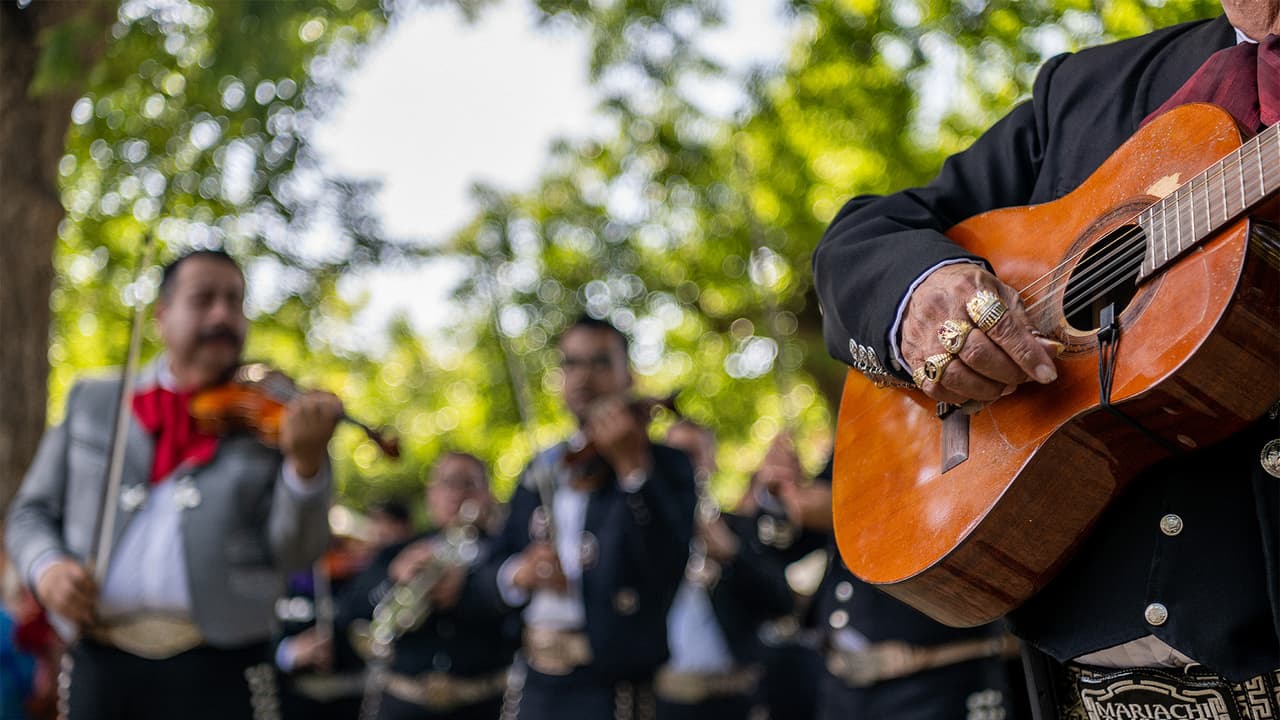 En la cultura, grupos de 
<b>Chinelos y presentaciones de mariachis</b> aderezarán la fiesta mexicana en Cicero durante este fin de semana.