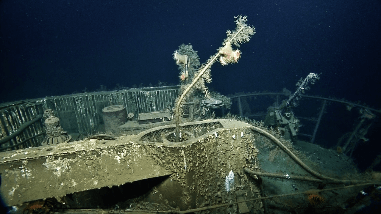 El Robert E. Lee llevaba 283 pasajeros, en su mayoría víctimas de otros ataques de embarcaciones. Sobrevivieron ocho oficiales, 122 tripulantes, seis guardias armados y 268 pasajeros.