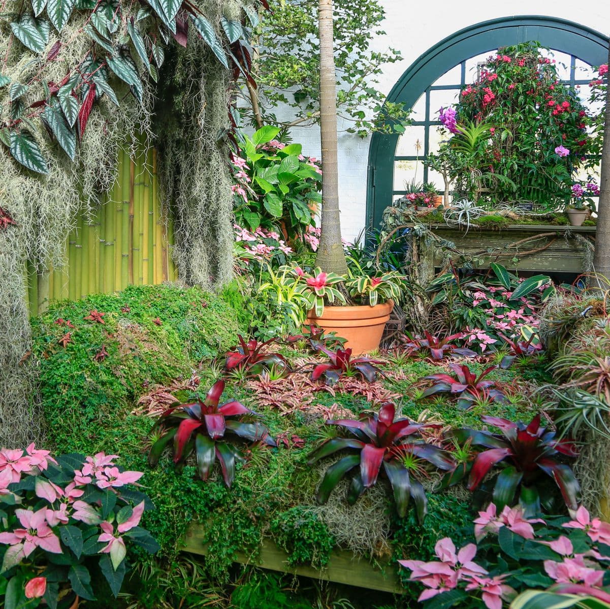 <b>Asheville</b> - Si bien Asheville es increíble durante las cuatro estaciones del año, definitivamente se encuentra entre los mejores destinos de vacaciones de primavera en Carolina del Norte. Para empezar, las flores comienzan a florecer en el
<b><a href="https://www.biltmore.com/">Biltmore</a></b>, uno de los hermosos museos y jardines botánicos estatales. Ten en cuenta todas las caminatas (por ejemplo, Black Balsam Knob) y cascadas (por ejemplo, Crabtree Falls) a lo largo y cerca de Blue Ridge Parkway y estarás de acuerdo en que hay innumerables cosas que hacer en Asheville.