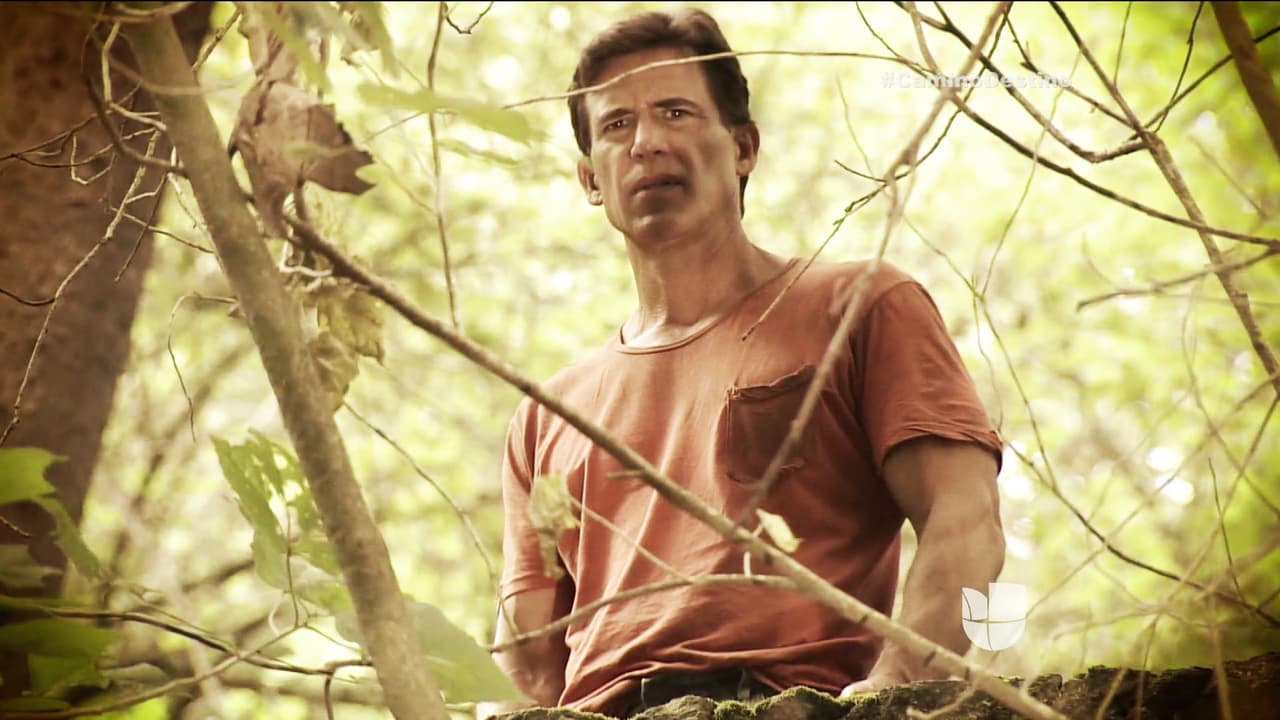 Pero Pedro jamás se alejará de ti.