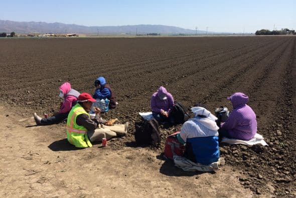 Después de la lucha de César Chávez los campesinos ganaron derechos a descansos regulares. Mujeres trabajadoras almuerzan en Salinas.