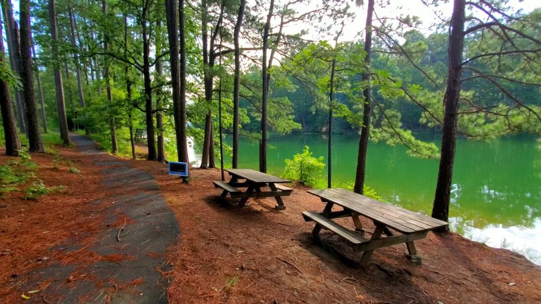 Otros senderos son pavimentados y te llevarán por otros puntos de interés del lago. En estos también encontrarás zonas de picnic y para relajarte.