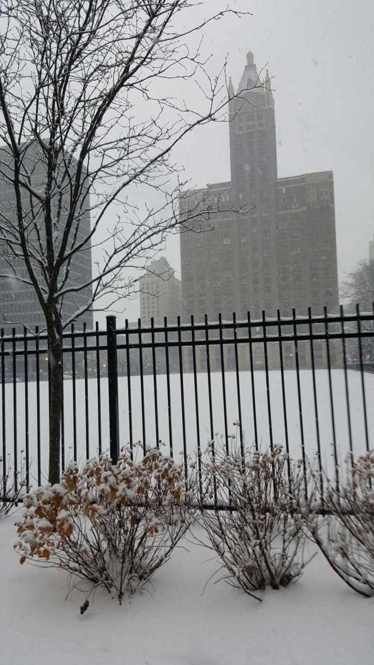 A lo largo del domingo, las acumulaciones totales podrían llegar hasta las 10 pulgadas, especialmente al norte de Chicago.