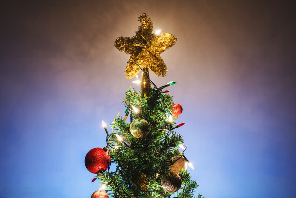 <b>ERES... LA ESTRELLA DE BELÉN</b>
<br>La luz que guía el camino hacia el niño Jesús, la estrella brillante a la cual los Reyes Magos acuden para indicarles por dónde ir y llegar al pesebre. Sin duda, un elemento básico y muy importante en los festejos, tanto así que es la culminación de la decoración del arbolito, hasta la punta.