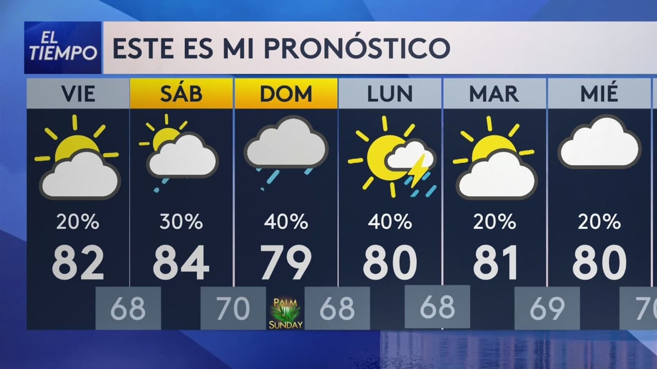 Pronóstico del tiempo hoy en Miami: viento sostenido; el termómetro alcanzará 82 °F