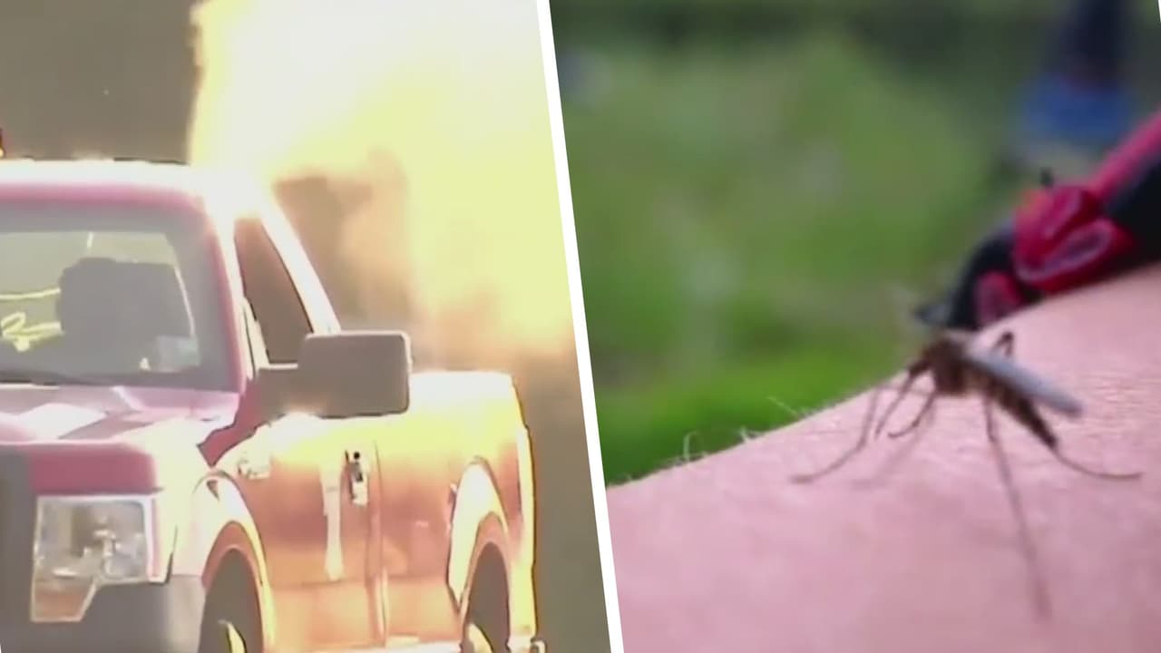 Encefalitis equina causa primera muerte en NY; autoridades emiten declaración de amenaza inminente